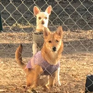 Meet your Posher, Gloria